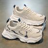 Summer Mesh Breathable Casual Sports Shoes Student Thick-soled Heightening Dad Shoes