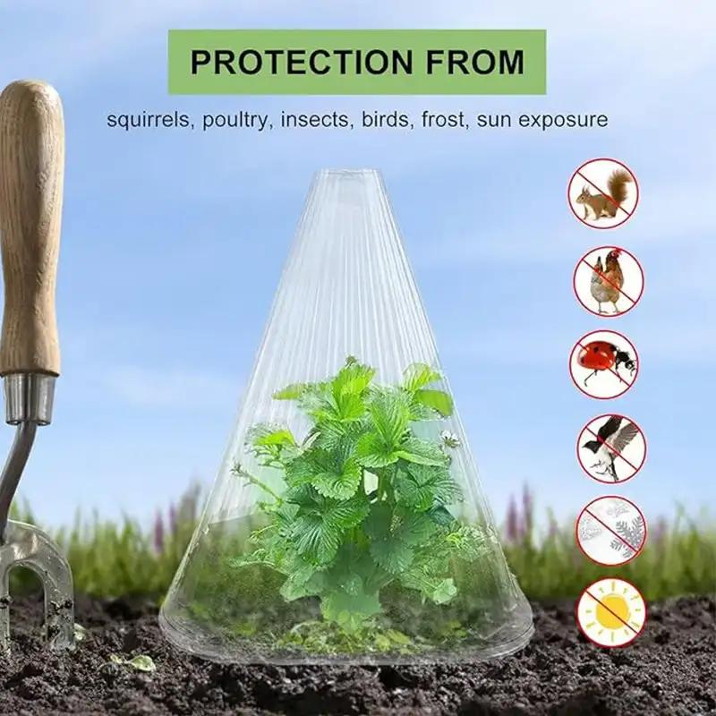 30 uds. Caja de Crecimiento Carpa de Plantación Cuadrada Reutilizable Cubierta de Reloj de Planta Para Proteger las Plantas de Pájaros, Heladas y Caracoles