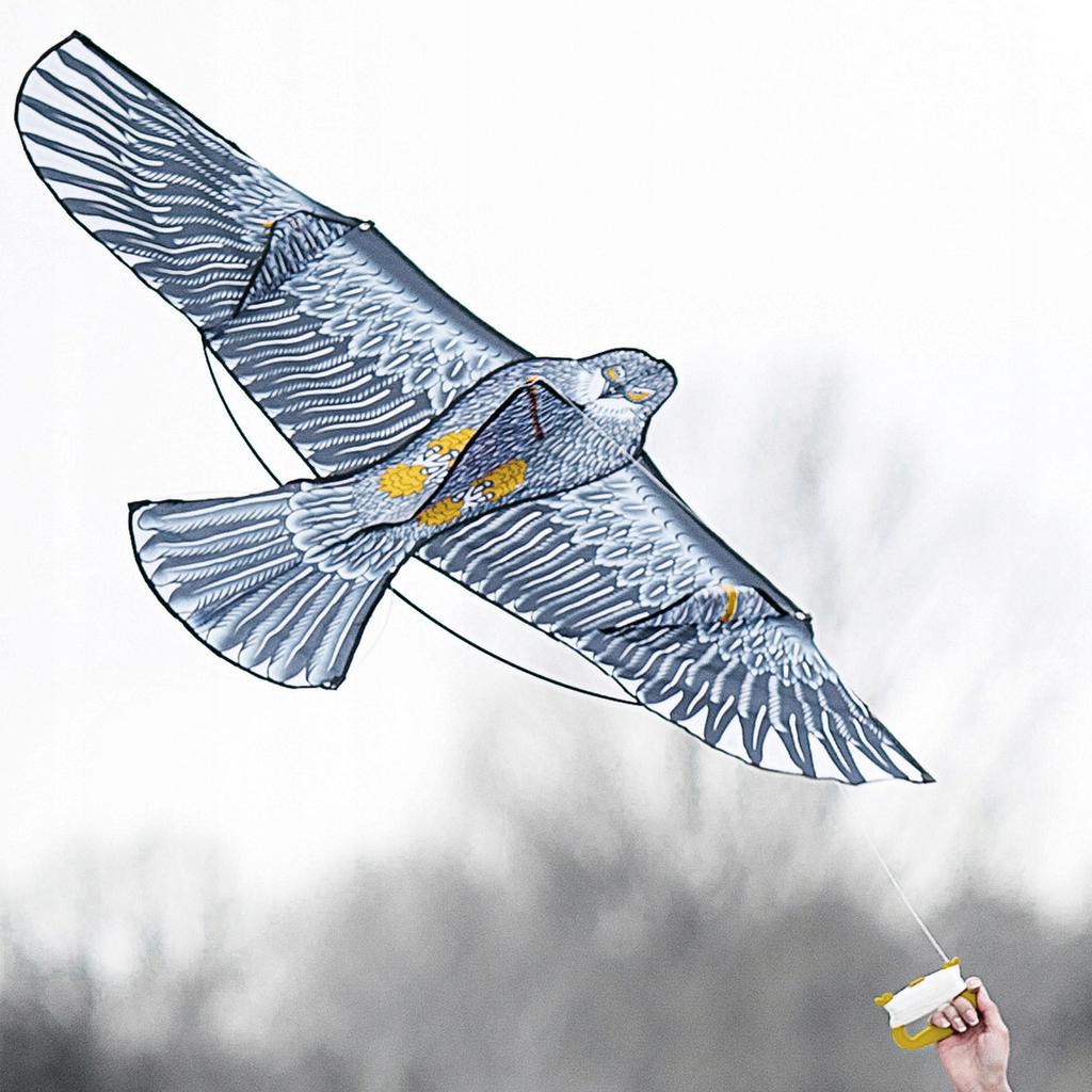KADAX Drachen für Kinder Groß 180x80cm Adler Vogel Leine