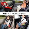 ACTIVE WINNER ISOFIX and Seat Belt Compatible Child Seat Protective Kick and Storage Pocket for Ages 6 Months and Up Mat, Guard, ISOFIX,