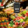 Fish Scale Digital Luggage Scale LCD Display Hanging Scale 50kg with Built in Measuring Tape Hook Handle for Travel Fishing Outdoor