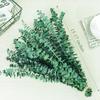 20 Pcs Preserved Dried Eucalyptus Stems, 17" Natural Fresh Eucalyptus Branches,Real Plant for Vase Filler, Dried Flowers Arrangement