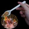 5 Stück Aufzuchtfutterlöffel mit manueller Spritze Vogelbaby Milch Medizin Fütterungsspritze Hitzebeständiger Kunststofflöffel