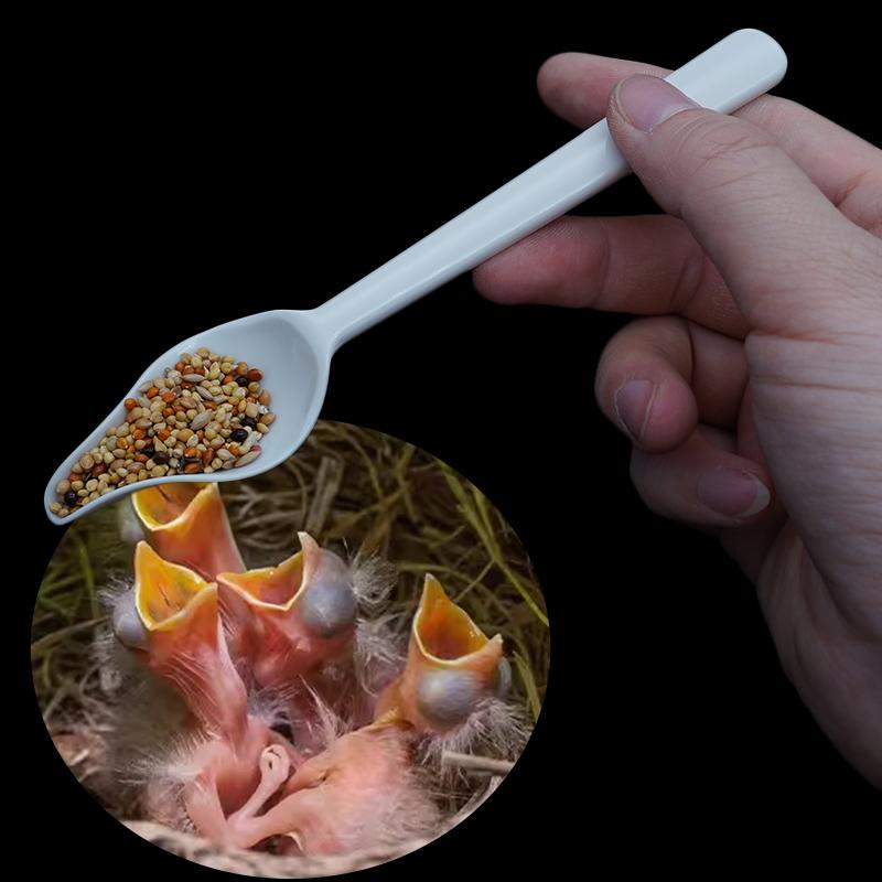 5 Stück Aufzuchtfutterlöffel mit manueller Spritze Vogelbaby Milch Medizin Fütterungsspritze Hitzebeständiger Kunststofflöffel