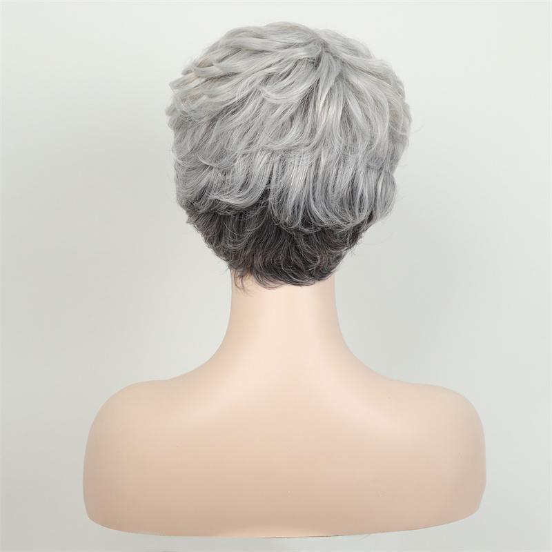 Women's Grey Wig Synthetic Natural Layered Haircut Short Curly Wig with Bangs Elderly Ladies Grandmother Wig Cosplay
