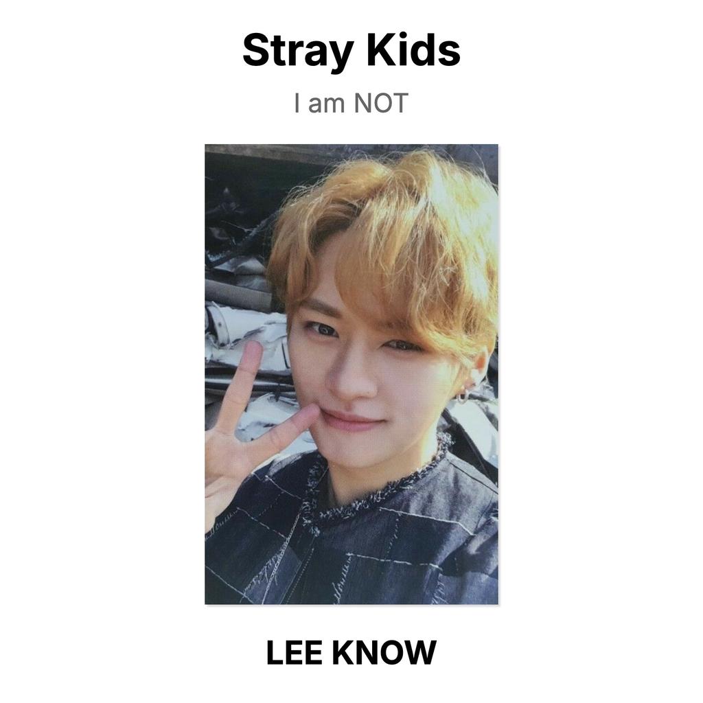 Stray Kids Ich bin KEINE offizielle Fotokarte