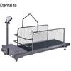 Pet Dog Training Treadmill