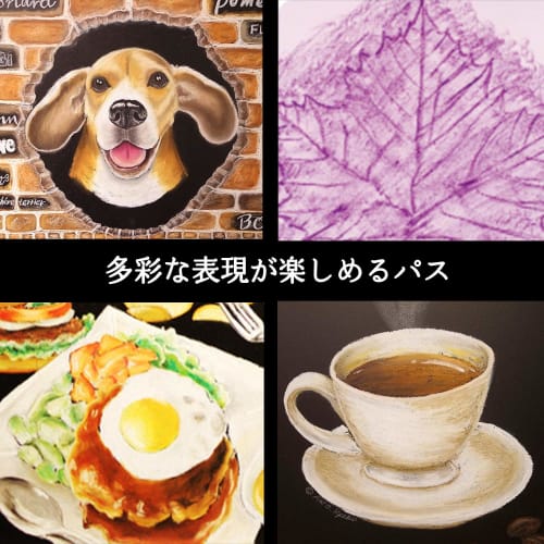 Pentel Crayon Professional Pass PTA-50D 49 colors (2 white)