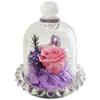 Q-FLA Preserved Flower Arrangement In a Dry Dome, Purple, Mother's Day Gift, 785634