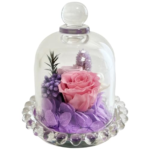 Q-FLA Preserved Flower Arrangement In a Dry Dome, Purple, Mother's Day Gift, 785634