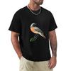 Redstart Tshirt Lightweight Hiking Tshirt