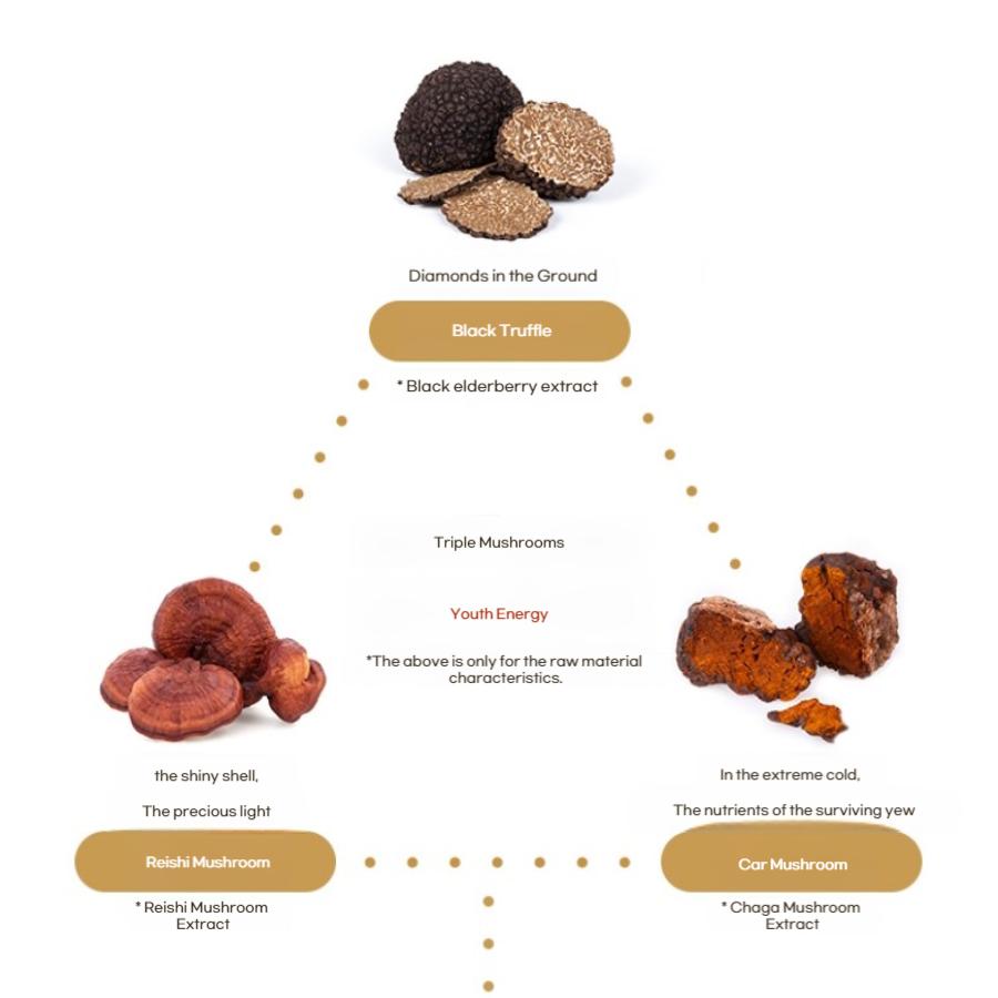 Time Revolution Immortal Youth Cream 2X 50ml