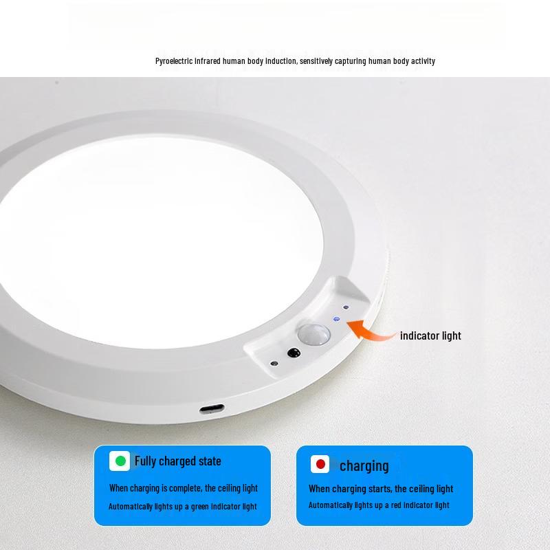 Dream Bubble Motion Sensor Rechargeable Ceiling Light