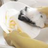 HouseRecipe Dark Black Dishwashing Brush (1-6 months' use)