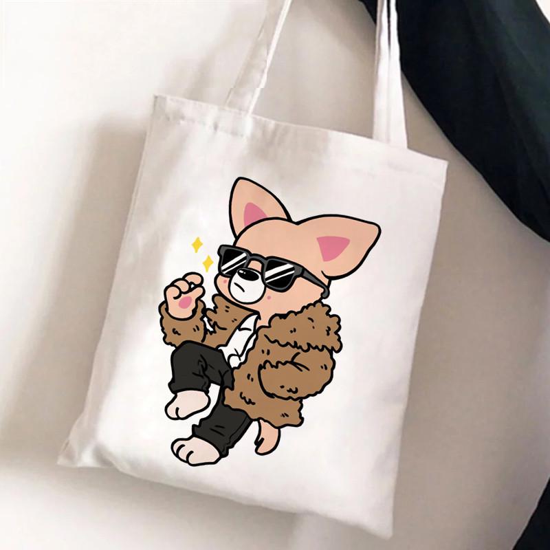 תיק צד קנבס Skzoo של Stray Kids - תיק יד אופנתי לסטודנטים