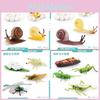 Detaillierte Pvc Insekten- und Tiermodell-Spielzeuge Schnecke Libelle Mücke Grashüpfer Realistische Lebenszyklusstadien