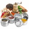 Aiyola Magnetic Spice Tins, 12-Piece Stainless Steel Magnetic Spice Containers, Magnetic Spice Jars, Easy-to-Clean, Rust-Resistant Precious Metal Salt