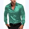 2025 Men's Silky Fabric Long-Sleeve Business Casual Shirt