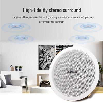 Sienko Y5 5-inch Ceiling Speaker CN Plug (adapter Included)
