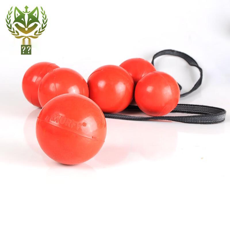 

Thorn Fox Dog Training Ball with Rope