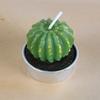 New simulation succulent plant candles, rose candles, 44 product combinations, and special-shaped paraffin candles