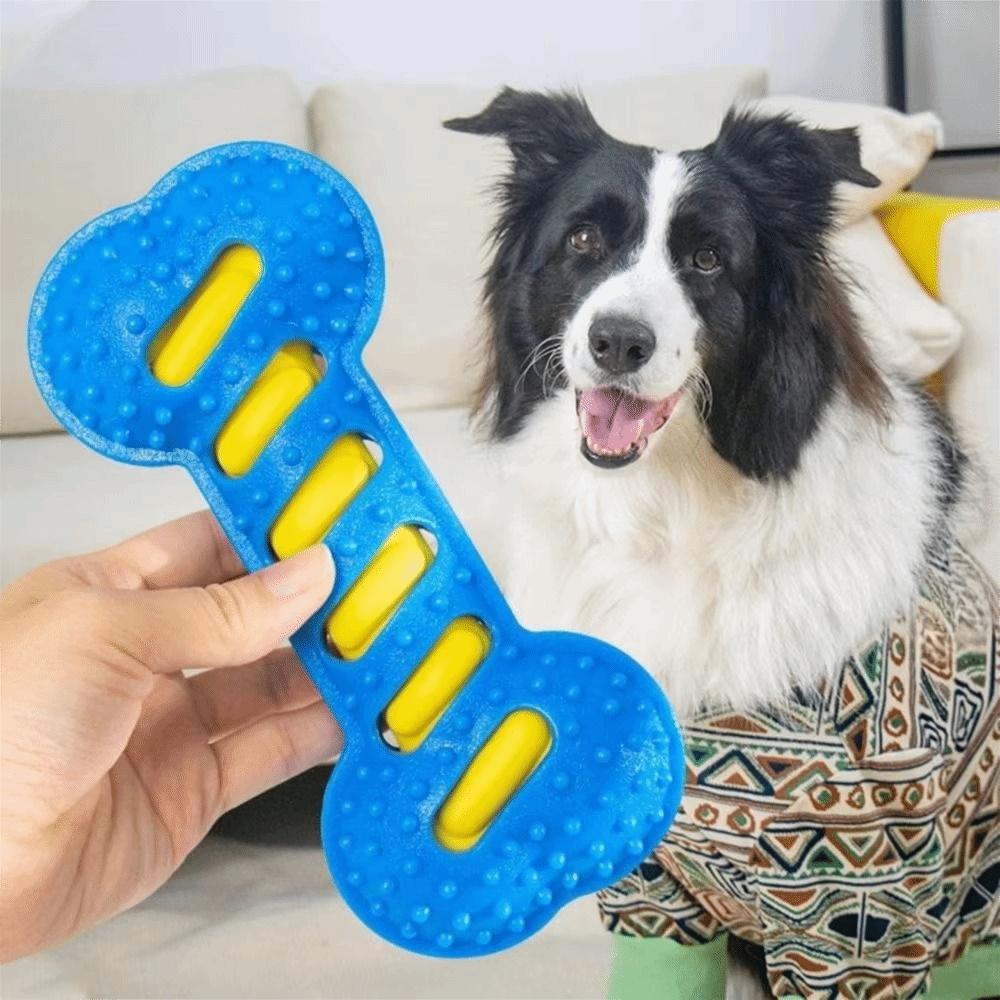 Bite-resistant Teeth Cleaning Toy Bone Shape Dog Molar Rod Dog Toothbrush Toy  Training