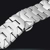 Panerai Watch Strap: Stainless Steel Butterfly Buckle for PAM441/111 and Fat Sea 0359/312.