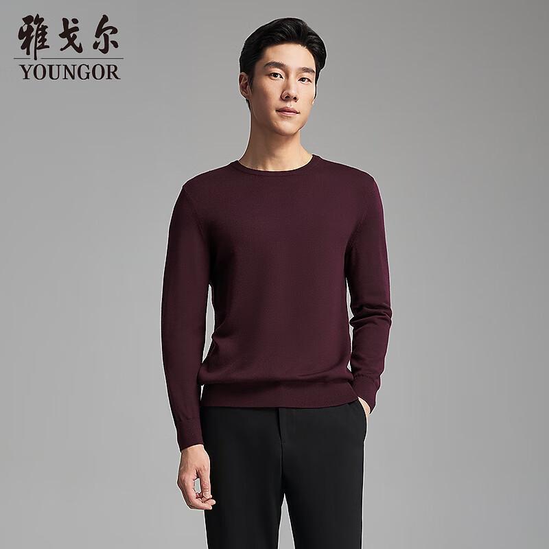YOUNGOR Men's Machine Washable Merino Wool Round Neck Pullover