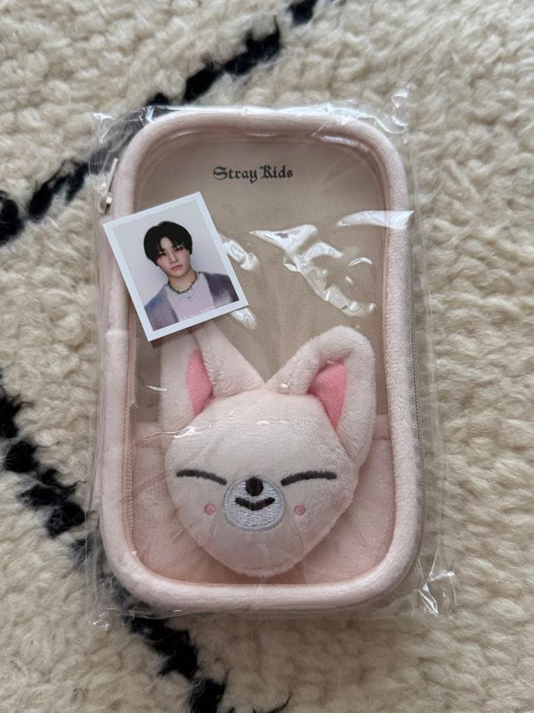 [USED] ACRYLIC STAND CASE FoxI.Ny SKZ