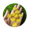 Kawaii Glitter Pearl Shell Flat Back Resin Cabochons Scrapbooking DIY Jewelry Craft Decoration Accessories