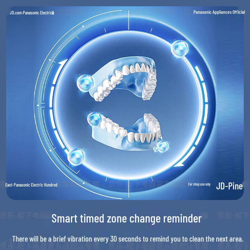 Panasonic Sonic Electric Toothbrush