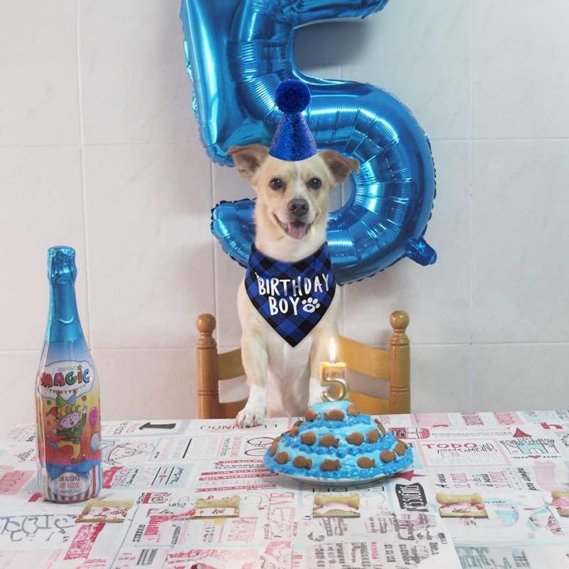 Pet Birthday Set Saliva Towel Triangle Towel Hat Pet Party Decoration Supplies Modeling Outdoor Creativity