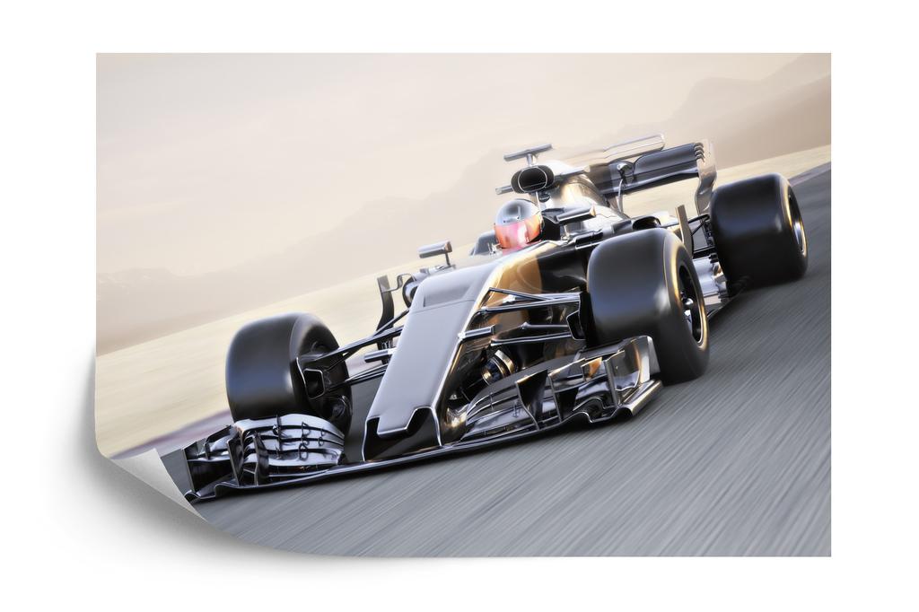 Photomural F1 Car On The Move Washable Fleece 208x146