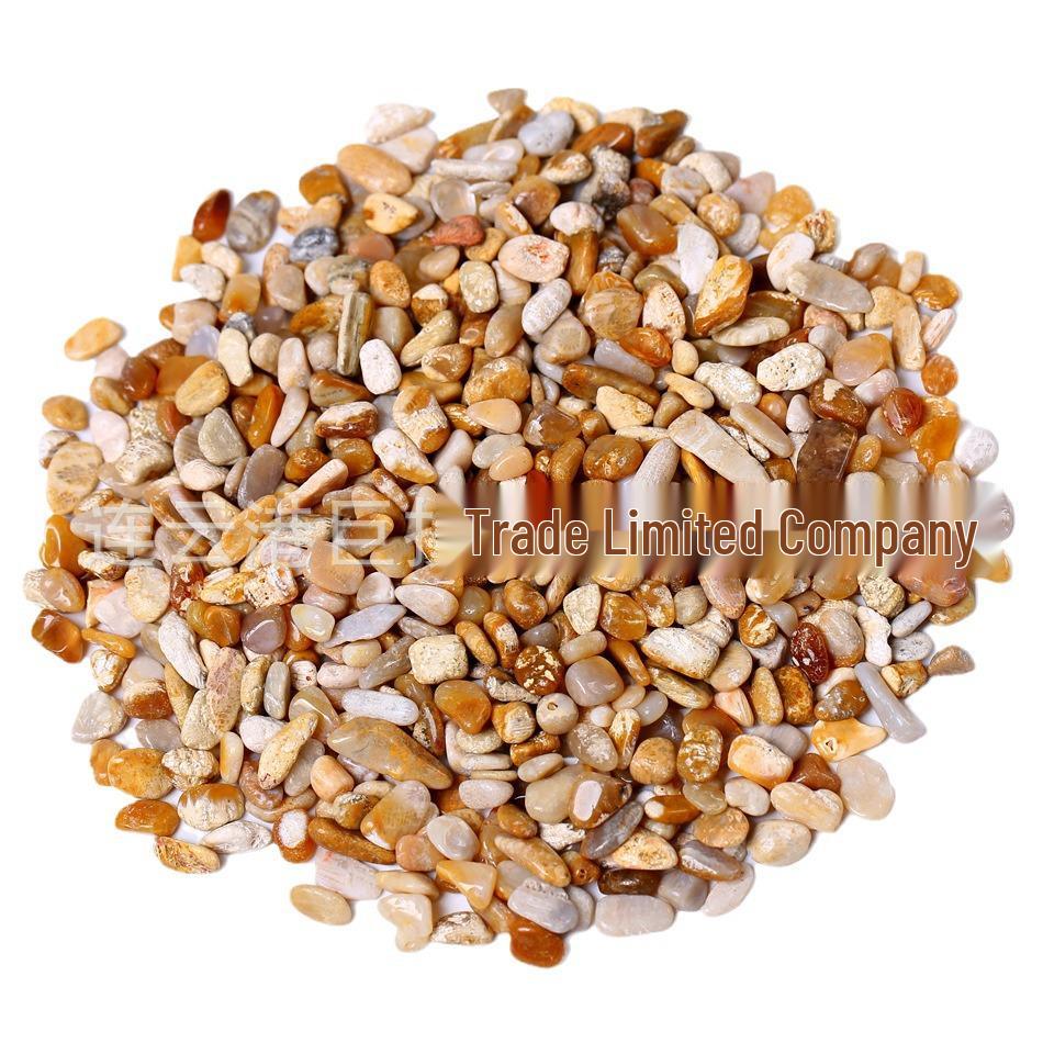 

Coral Jade Chrysanthemum Stone Gravel: Bonsai & Fish Tank Decor, Children s Science Digging Treasure 5-7mm, 500g
