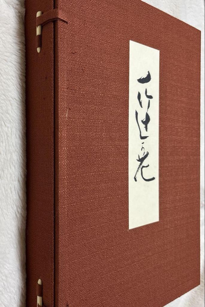 [USED] Ichitake Tsujigahana
