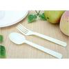 Daiwa Bussan Disposable Plastic Spoons, Good for Business, Cutlery, 16cm, Pack of 100, Ivory/White, 21.0 X 18.5 X 5.5cm