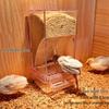 Rooster Ornament Shelf & Chicken Coop Feeder Platform