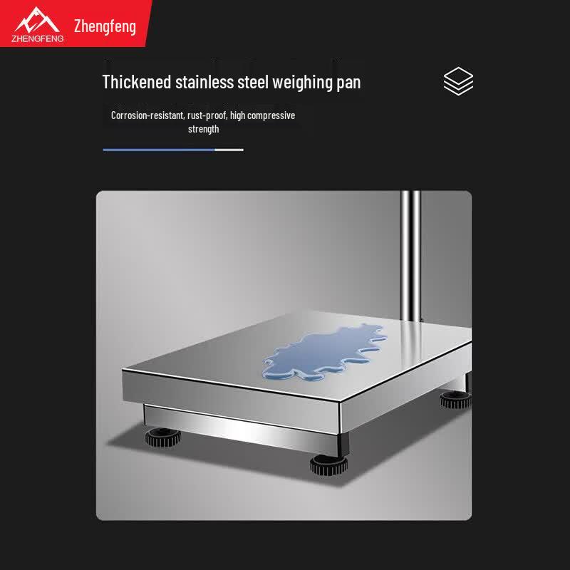 ZHENGFENG 201 Stainless Steel Electronic Platform Scale (CN Version)