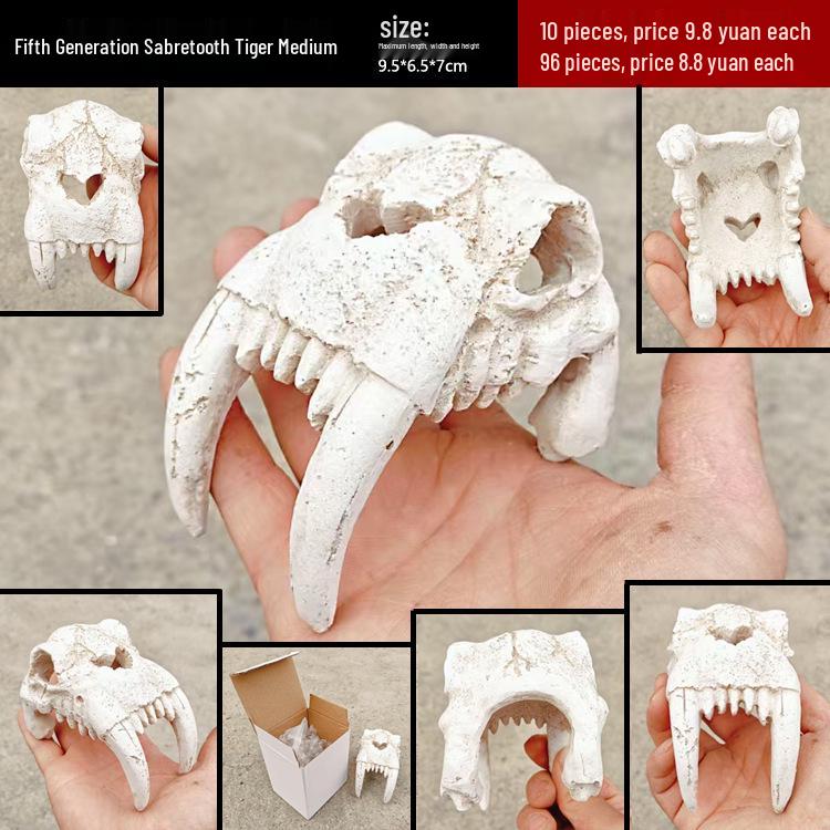 Akril Hüllőtenyésztő Doboz Dekoratív Koponyával