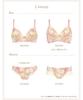 Bra Wing Lesiage Neat Firm Fit Bra PB2900 BU C65 [Wing/Wacoal] Sides, [2900 Series] Women's