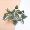 Artificial Plants Silk Green Leaf Wholesale Wedding Decoration Flowers Wreaths Festival Decorations Home Room Table Stage Props