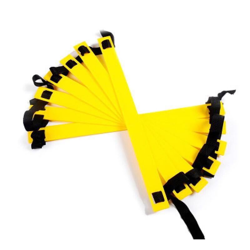 Agility Training Ladder