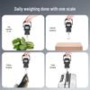 TIANSHENG Portable Digital Handheld Scale