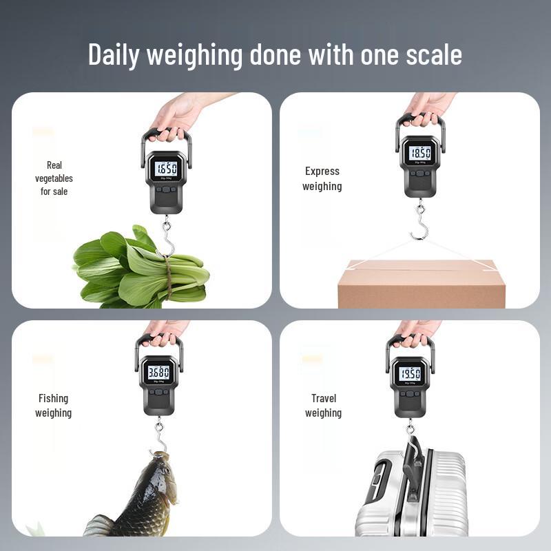 TIANSHENG Portable Digital Handheld Scale