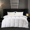 All-Season Thickened White Quilt Core