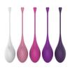 Set of 5 Kegel Balls of Different Weights