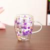 Dried Flower Double Walled Glass Mug 350ml Coffee Mug with Dry Flowers Decorative and Creative Flower Mug Double Wall Flower Cup