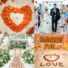 30/50/100pcs White Silk Rose Petals Rose Homme Decor Artificial Rose Flowers  Aisle Runners