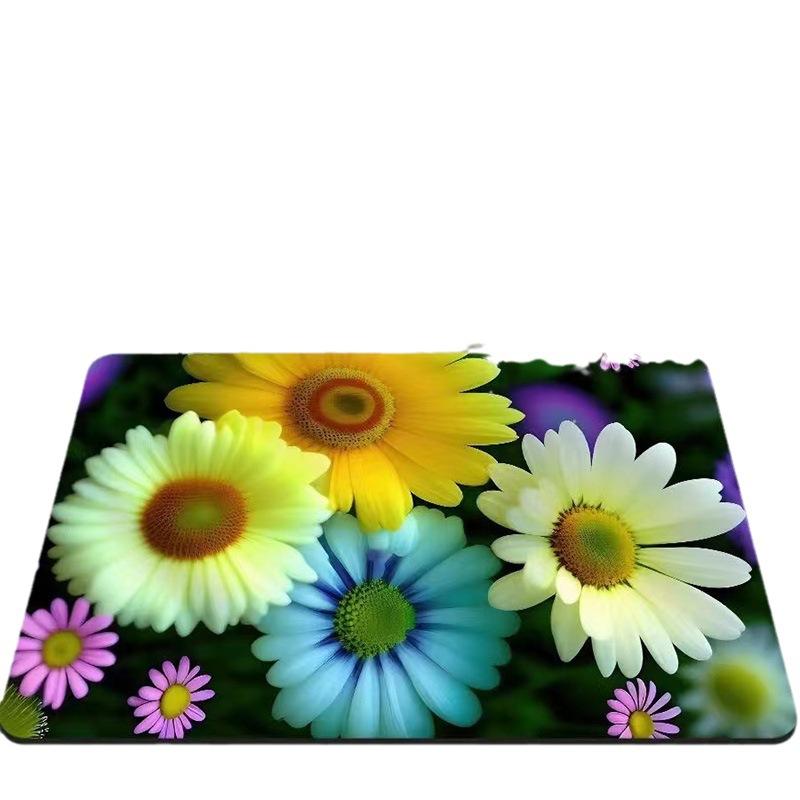 Bathroom Absorbent Soft Pad Quick-Drying Toilet Non-Slip Floor Mat Kitchen Toilet Dirt-Resistant Foot Pad Door Mat Manufacturer Wholesale