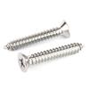 Zhongge 304 Stainless Steel Self-Tapping Screws
